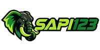 SAPI123